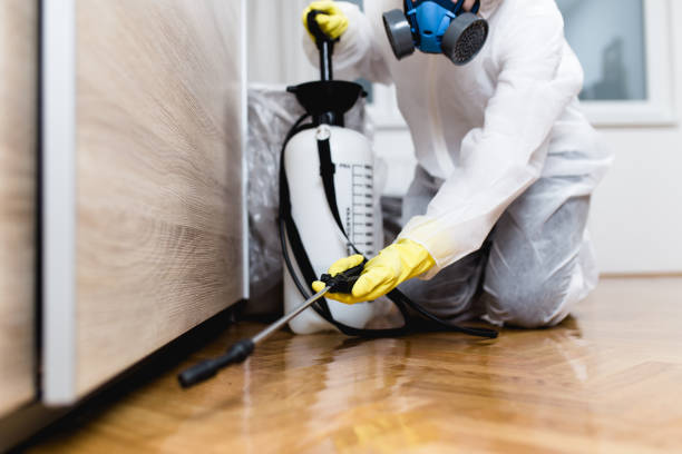 Pest Prevention Services in Peru, IL