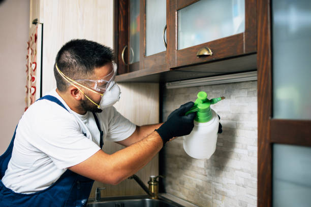 Best Pest Inspection Near Me  in Peru, IL
