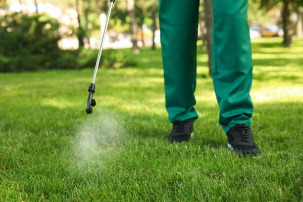 Best Pest Prevention Services  in Peru, IL