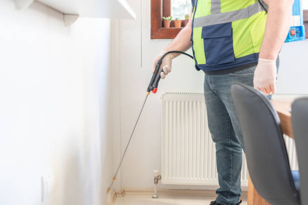 Best Wasp Removal Services  in Peru, IL