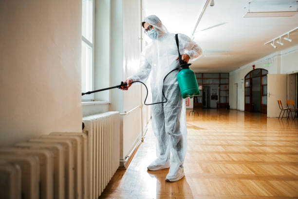 Best Termite Control Services  in Peru, IL