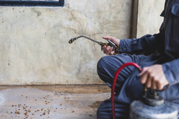 Best Pest Control Near Me in Peru, IL